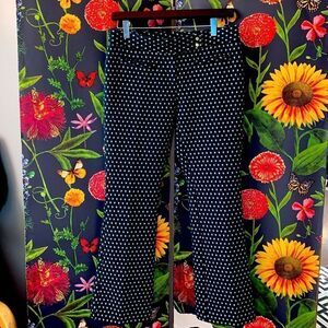 SALE!!! Cartonnier Anthropologie Charlie Chop Flare Pants 26